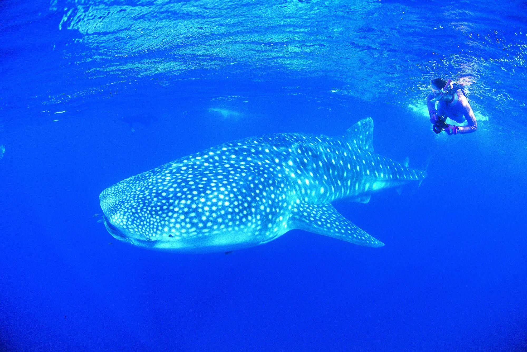 Ningaloo Reef Resort Корал Бей Екстериор снимка